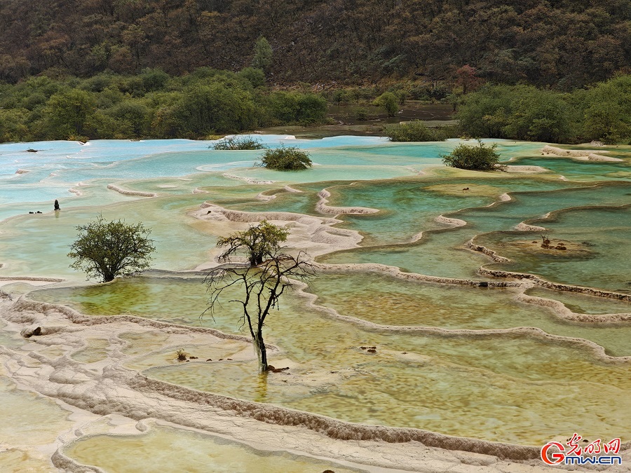 Natural palette of Huanglong Scenic Area in SW China's Sichuan Natural palette of Huanglong Scenic Area in SW China's Sichuan