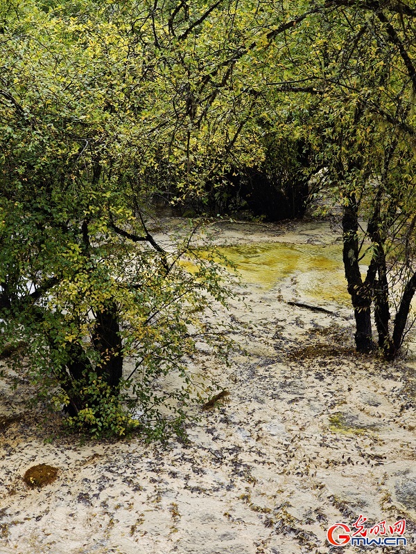 Natural palette of Huanglong Scenic Area in SW China's Sichuan Natural palette of Huanglong Scenic Area in SW China's Sichuan