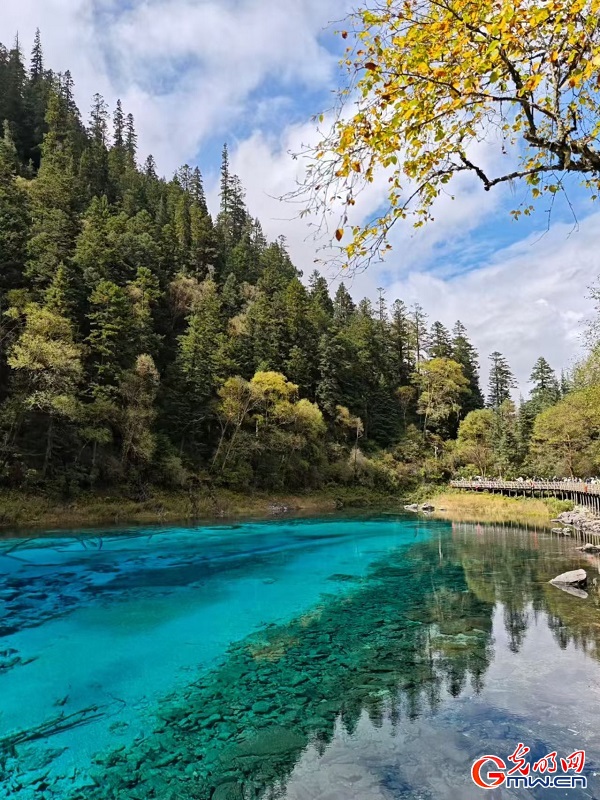Early autumn scenery of Jiuzhaigou Valley in SW China's Sichuan Early autumn scenery of Jiuzhaigou Valley in SW China's Sichuan