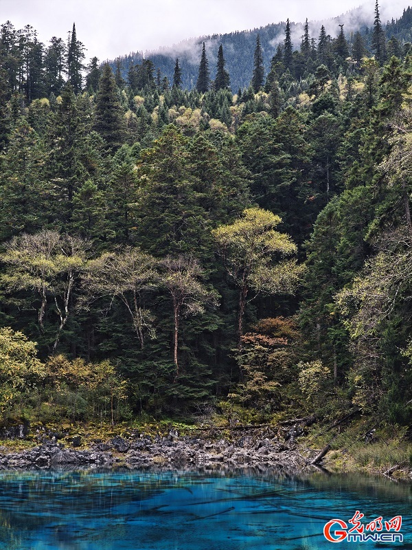 Early autumn scenery of Jiuzhaigou Valley in SW China's Sichuan Early autumn scenery of Jiuzhaigou Valley in SW China's Sichuan