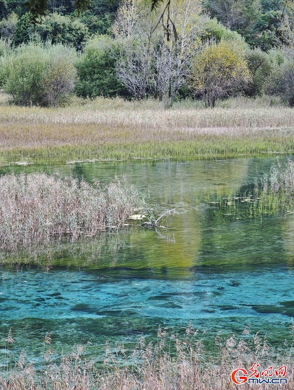 Early autumn scenery of Jiuzhaigou Valley in SW China's Sichuan Early autumn scenery of Jiuzhaigou Valley in SW China's Sichuan