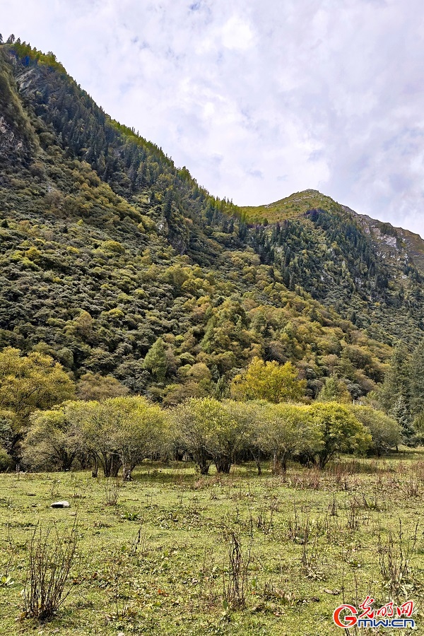 Autumn Splendor in Changping Valley of Mount Siguniang Autumn Splendor in Changping Valley of Mount Siguniang