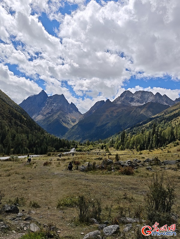 Shuangqiao Valley of SW China's Sichuan glows with autumn hues Shuangqiao Valley of SW China's Sichuan glows with autumn hues