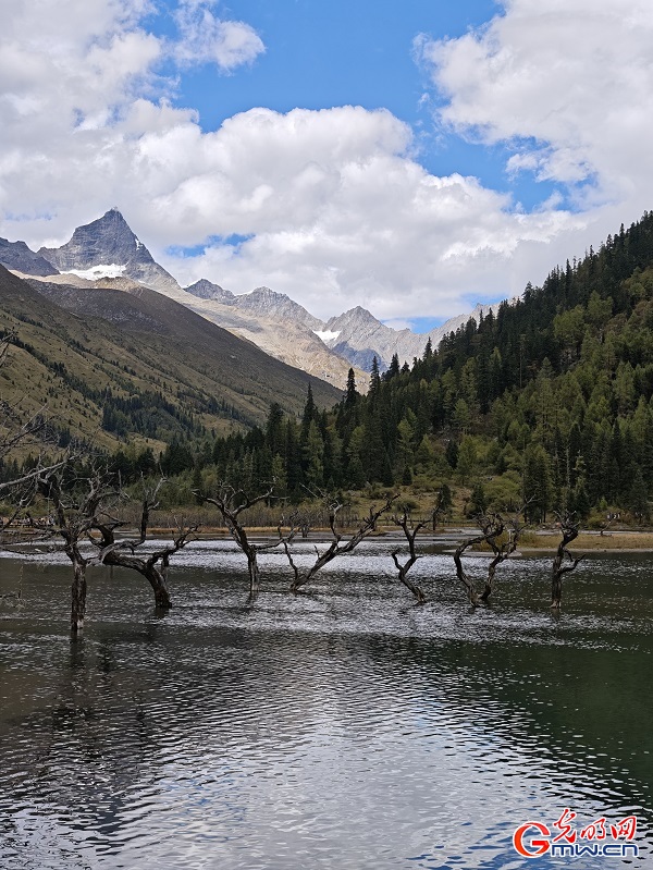 Shuangqiao Valley of SW China's Sichuan glows with autumn hues Shuangqiao Valley of SW China's Sichuan glows with autumn hues