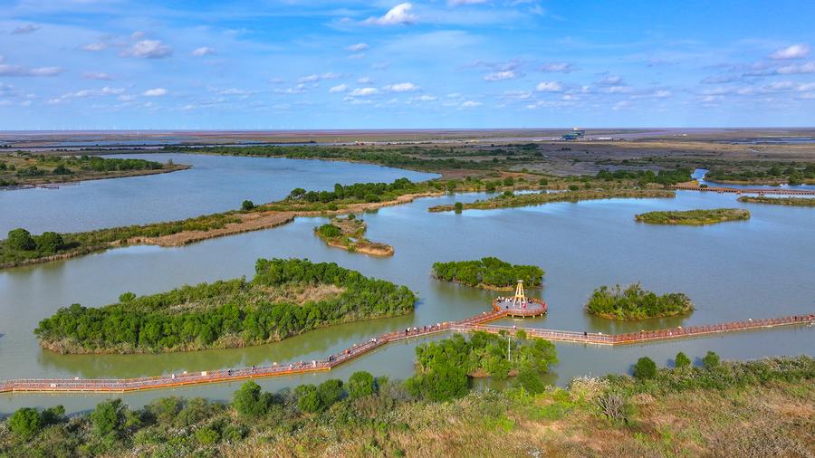 Witnessing beautiful bays construction in E China's Shandong