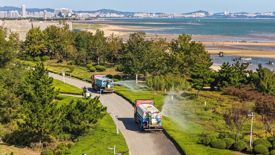 Witnessing beautiful bays construction in E China's Shandong