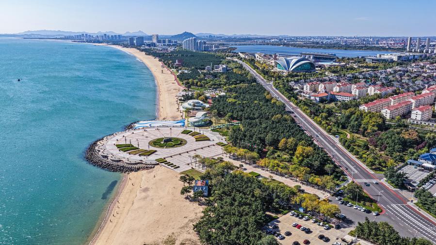 Witnessing beautiful bays construction in E China's Shandong