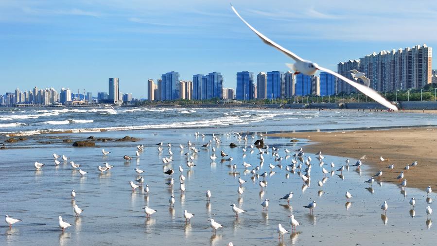 Witnessing beautiful bays construction in E China's Shandong
