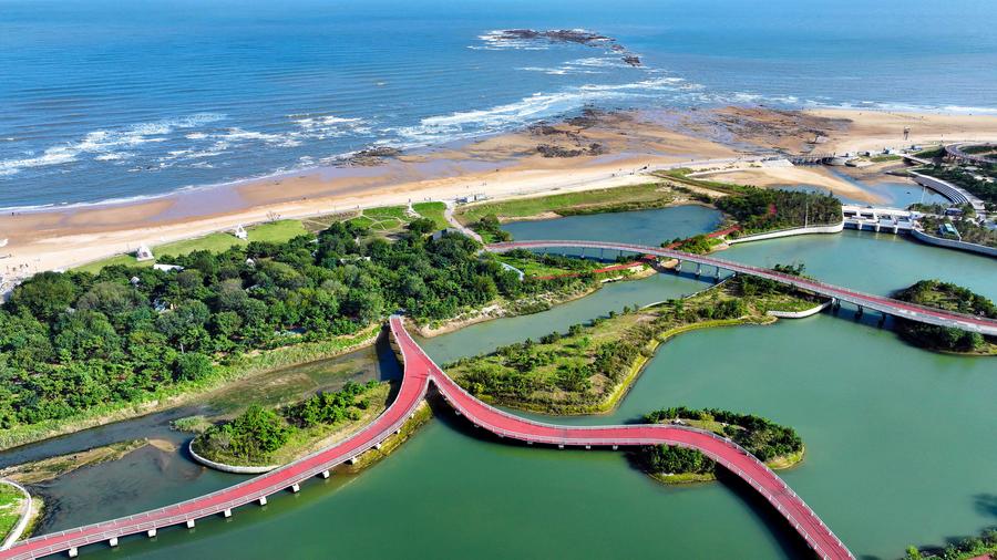 Witnessing beautiful bays construction in E China's Shandong