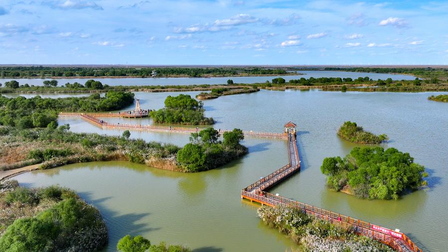 Witnessing beautiful bays construction in E China's Shandong