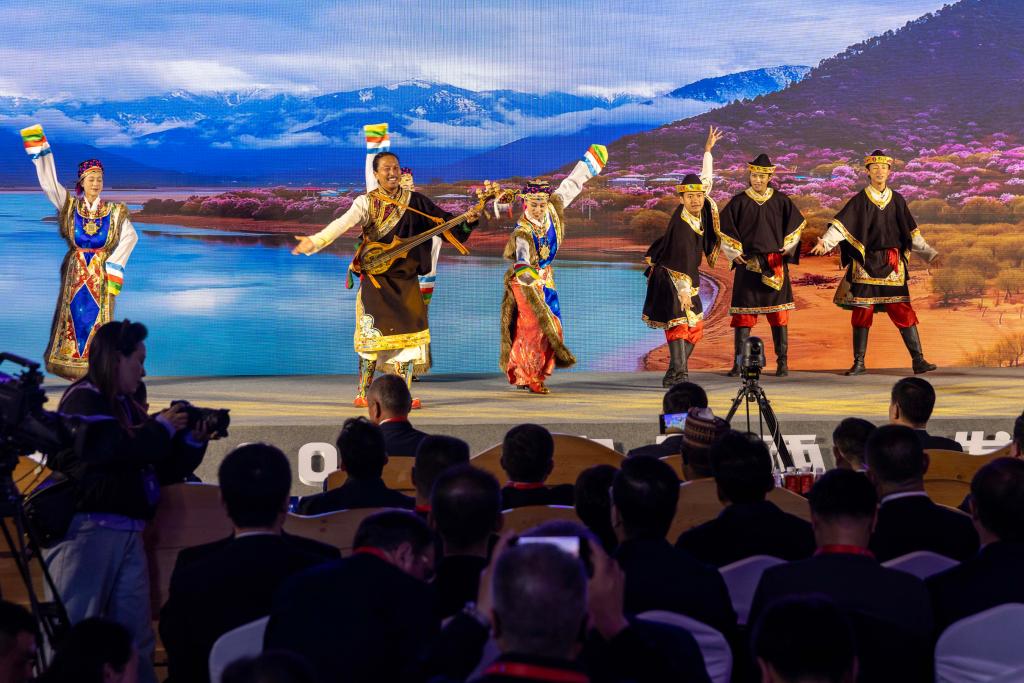 Global forum highlights Xizang's transformation, future development