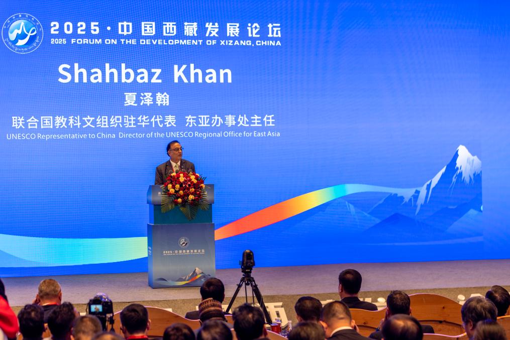 Global forum highlights Xizang's transformation, future development