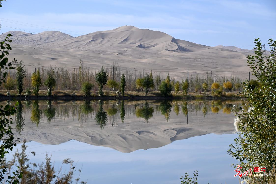 Autumn scenery at Danghe Wetland in NW China's Gansu Autumn scenery at Danghe Wetland in NW China's Gansu