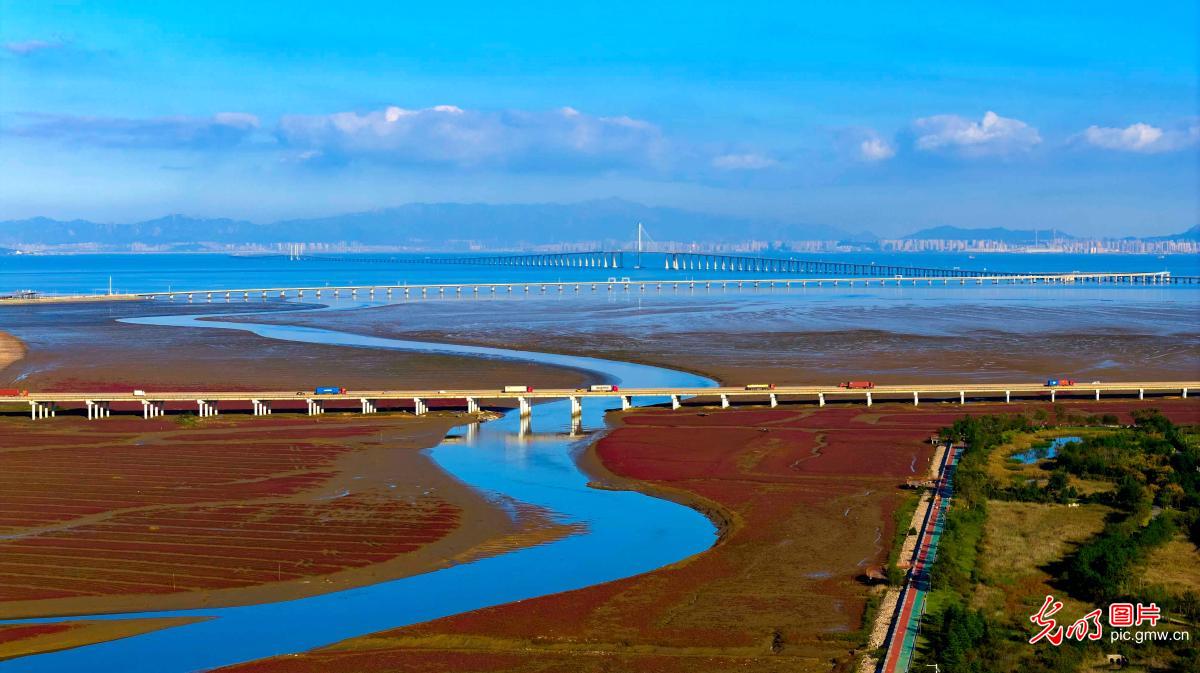 Colorful red beach in E China's Shandong