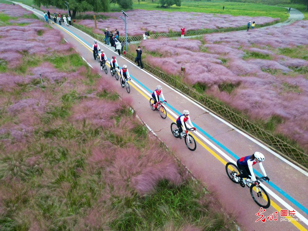 People enjoy low-carbon cycling in E China's Shandong People enjoy low-carbon cycling in E China's Shandong