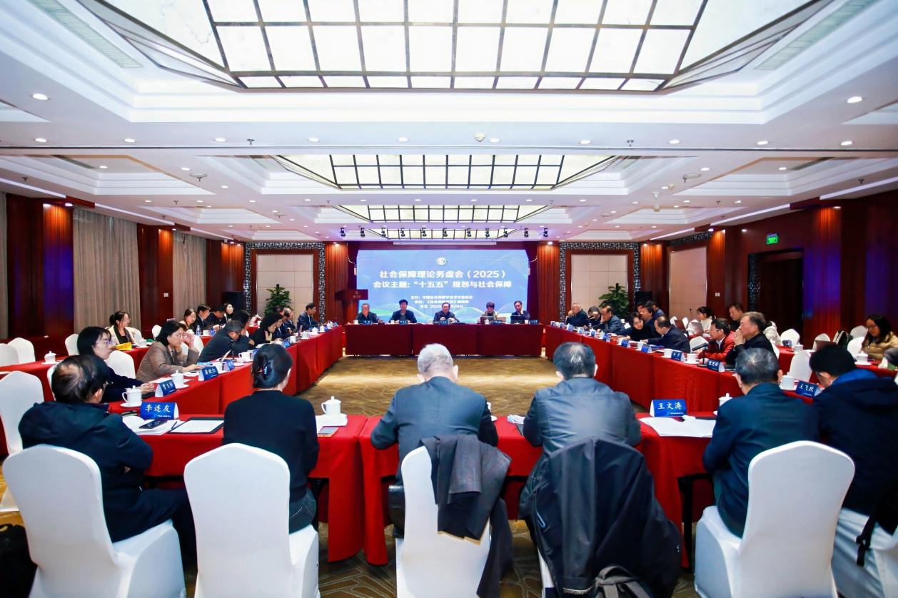 2025年度社会保障理论务虚会在京召开