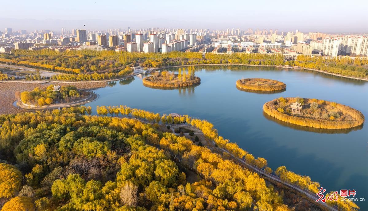Ecological finery adorns NW China wetland park