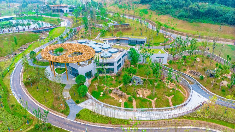 New giant panda base starts trial operation in SW China