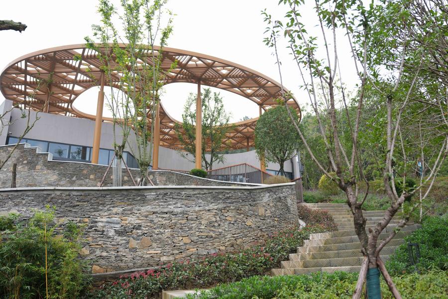 New giant panda base starts trial operation in SW China