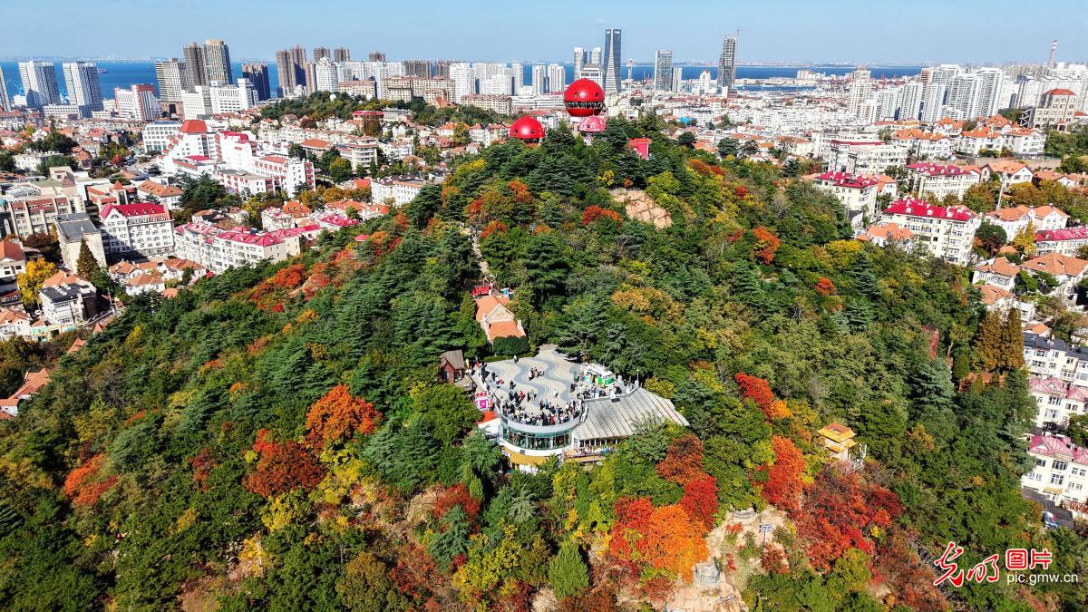 Picturesque autumn landscapes across China showcase vibrant ecological beauty