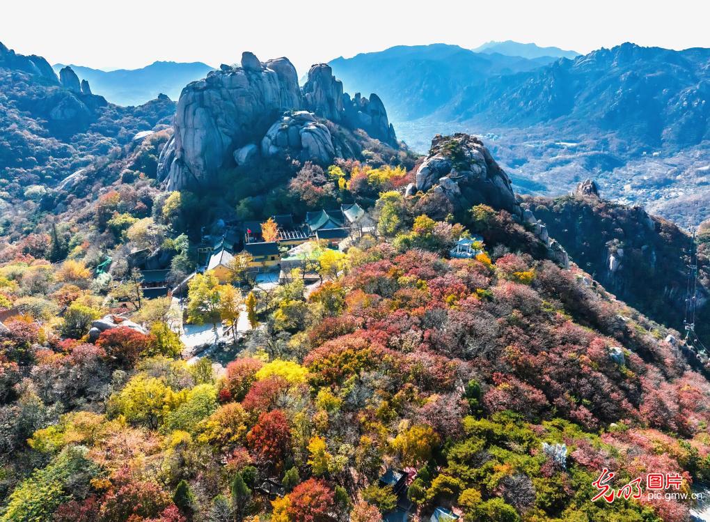 Brilliant autumn foliage paints scenic Wulian Mountain in E China's Shandong