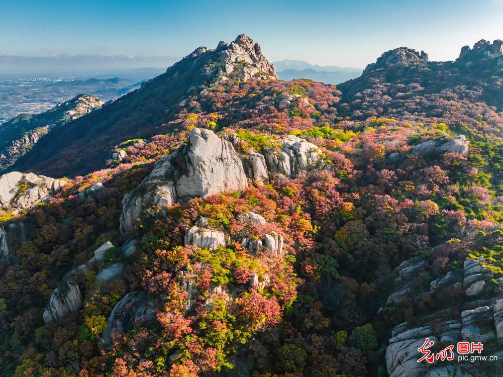 Brilliant autumn foliage paints scenic Wulian Mountain in E China's Shandong