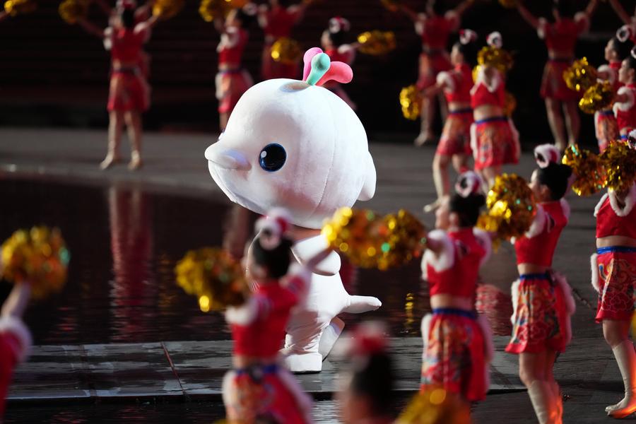 Cute, bouncy, viral: China's dolphin mascots take over the internet