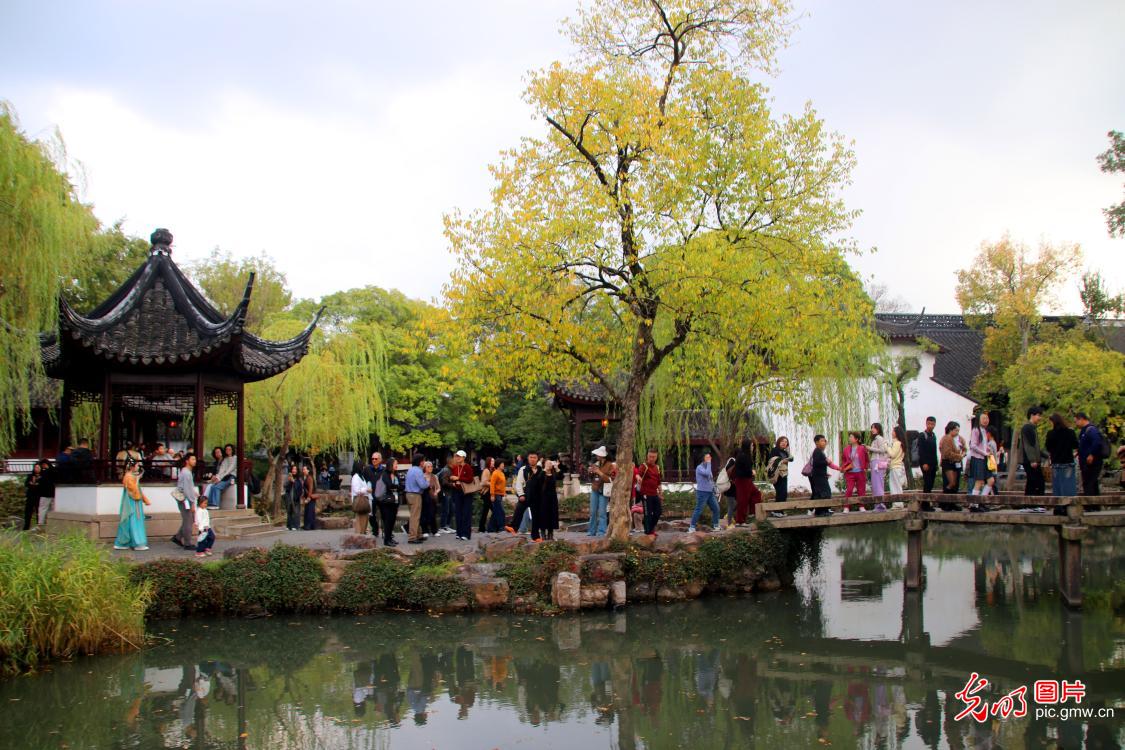 Early winter colors brighten Suzhou's Humble Administrator's Garden Early winter colors brighten Suzhou's Humble Administrator's Garden