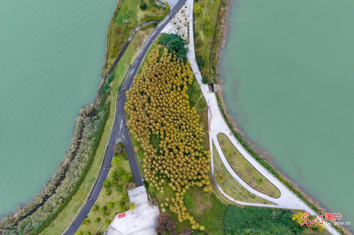 Winter scenery brightens Yichang in the Three Gorges Reservoir Area Winter scenery brightens Yichang in the Three Gorges Reservoir Area