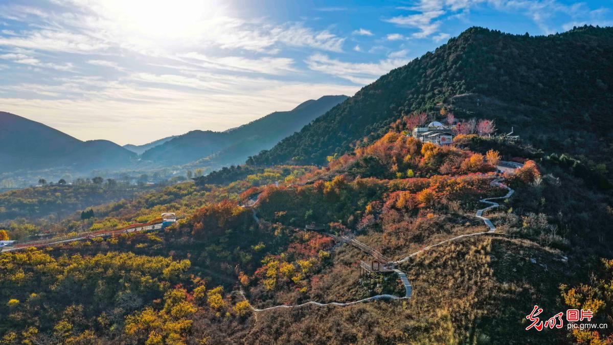 Autumn colors peak at Nanshan Changle Valley in Zunhua