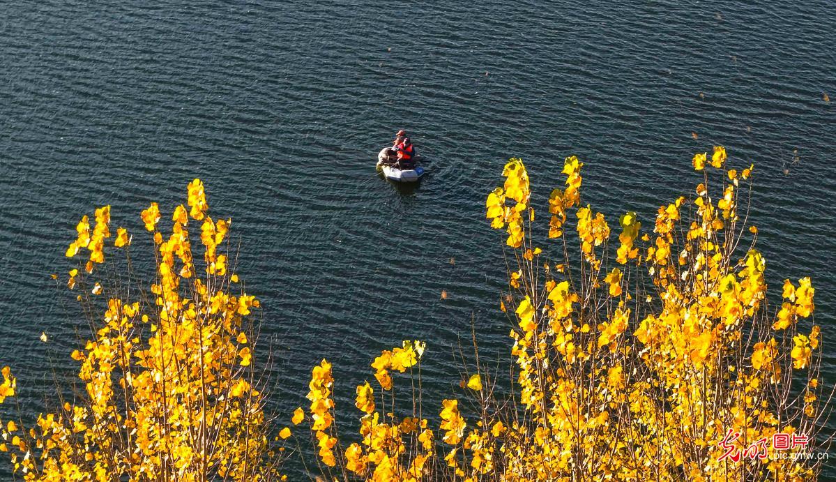 Autumn colors peak at Nanshan Changle Valley in Zunhua