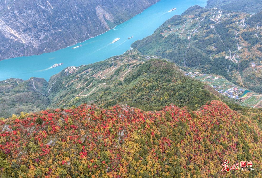 Early winter colors along Yangtze River