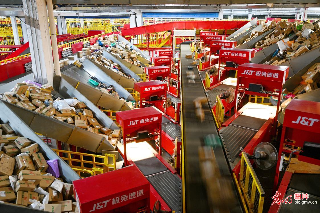 Double 11 shopping frenzy drives logistics across China Double 11 shopping frenzy drives logistics across China