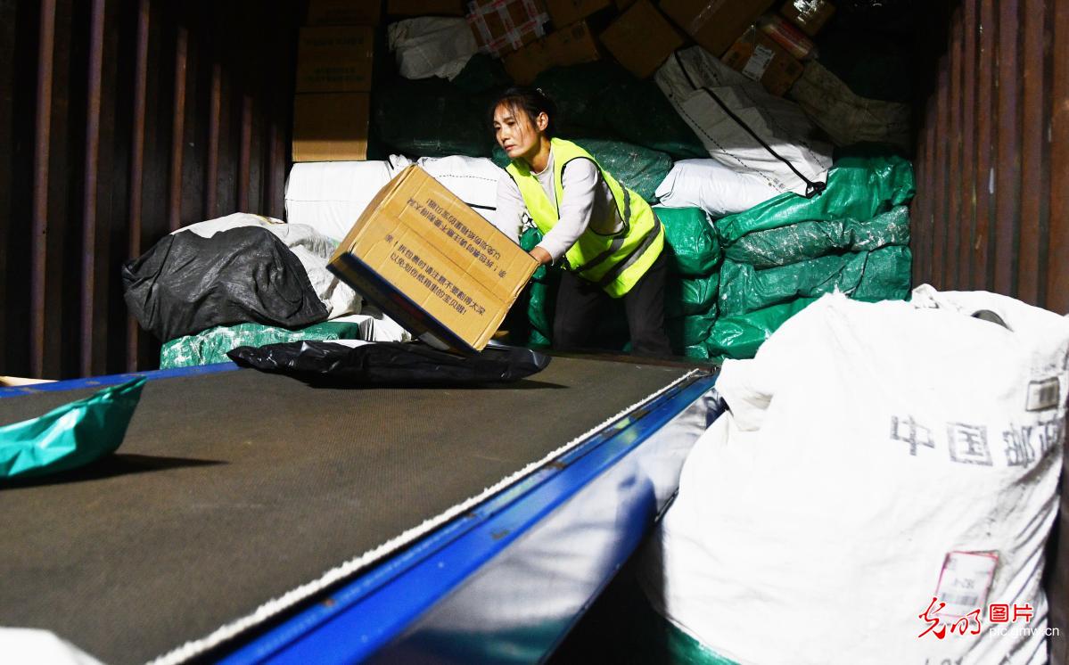 Double 11 shopping frenzy drives logistics across China Double 11 shopping frenzy drives logistics across China