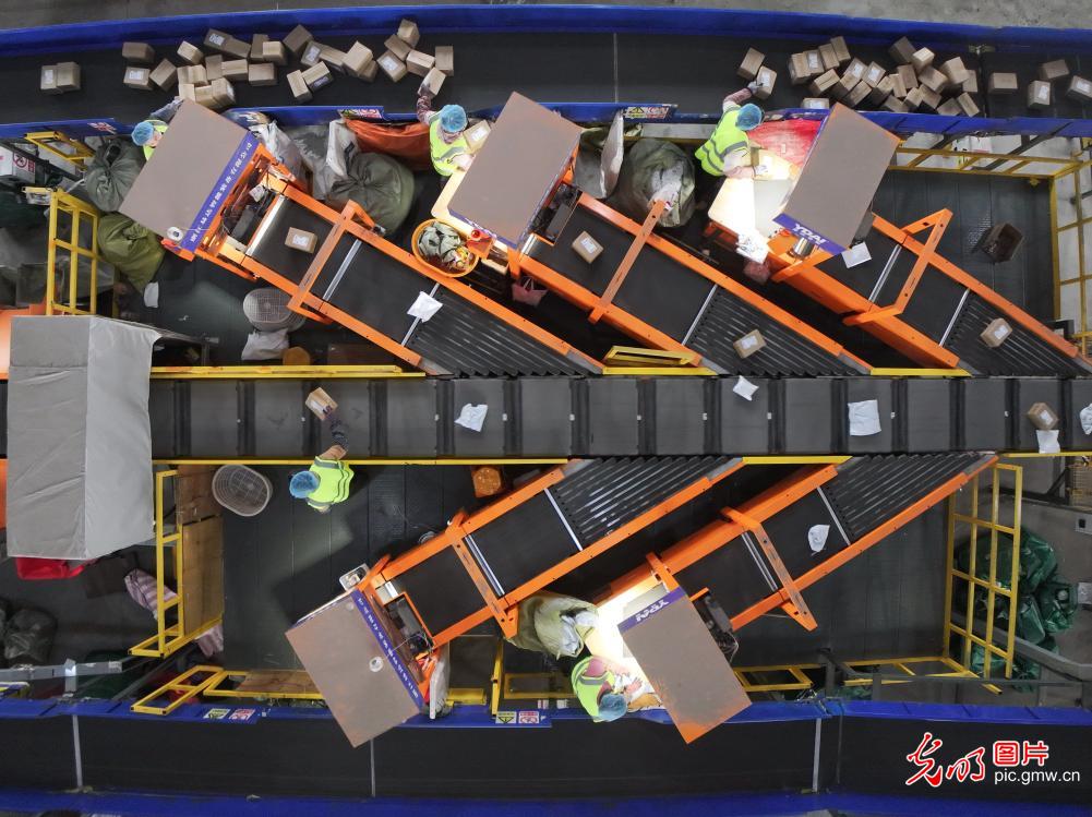 Double 11 shopping frenzy drives logistics across China Double 11 shopping frenzy drives logistics across China