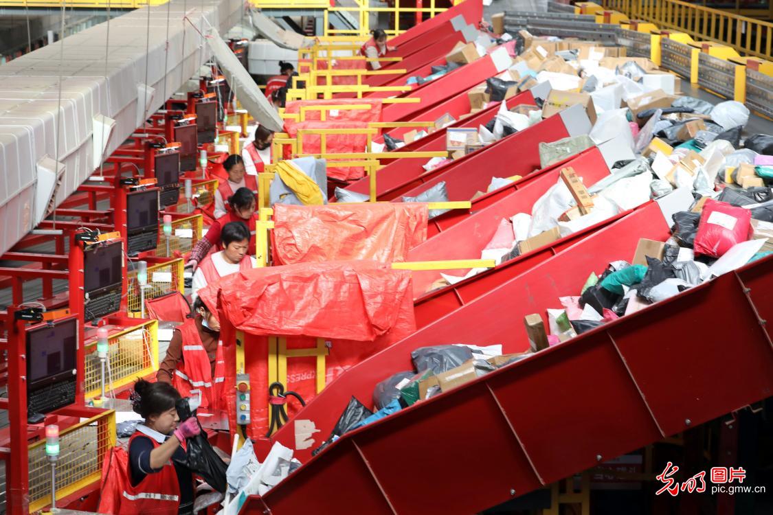 Double 11 shopping frenzy drives logistics across China Double 11 shopping frenzy drives logistics across China