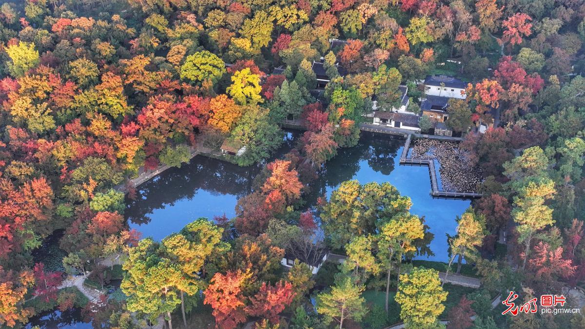 Maple leaves draw crowds to Jiangsu's Tianping Mountain