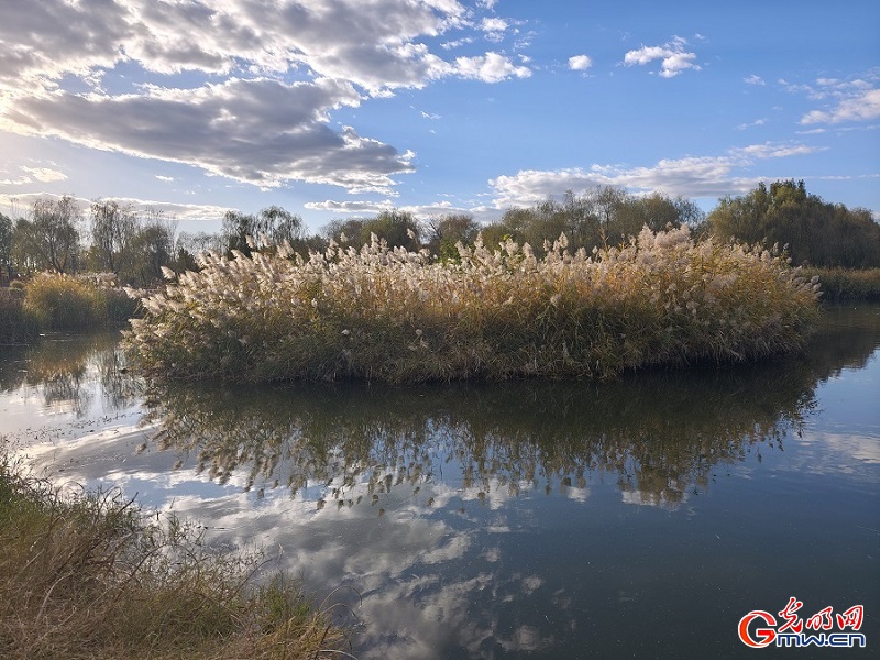 Autumn view at Beijing's Central Green Forest Park