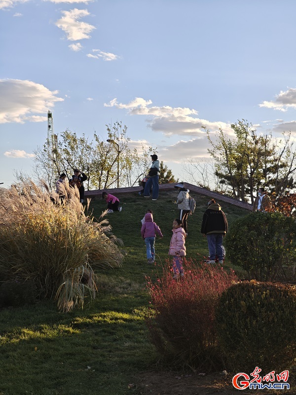 Autumn view at Beijing's Central Green Forest Park