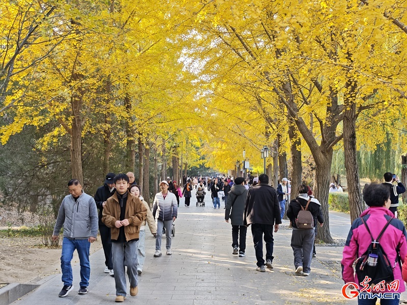 In pics: autumn scenery of Yuanmingyuan Park