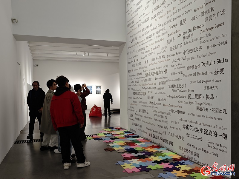 Chinese water-based woodblock youth program annual exhibition attracts visitors