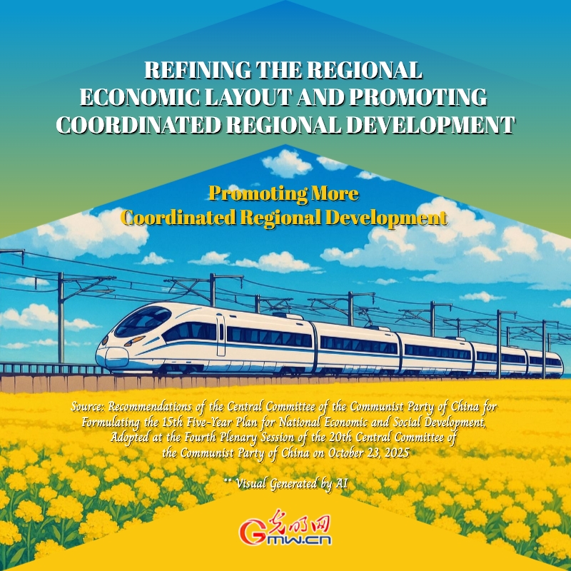 Posters: Refining the regional economic layout and promoting coordinated regional development