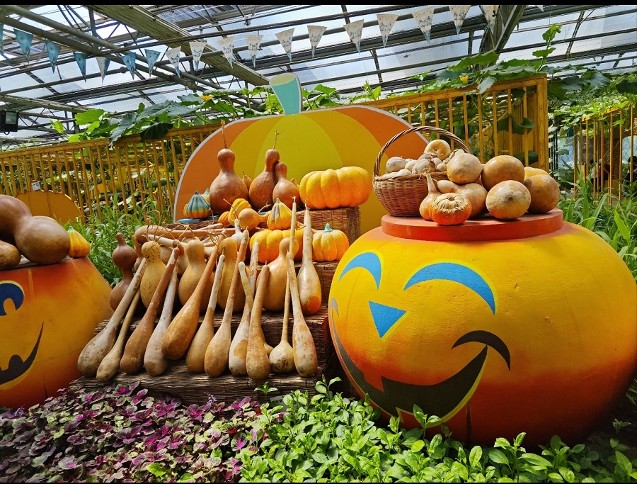 Beijing Women and Children Development Base: Beijing Garden of World’s Flowers