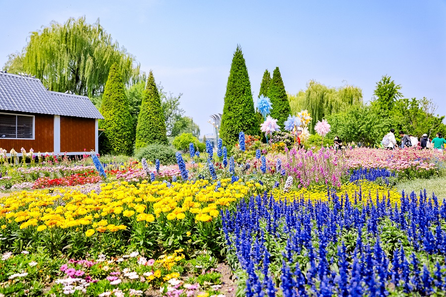 Beijing Women and Children Development Base: Beijing Garden of World’s Flowers
