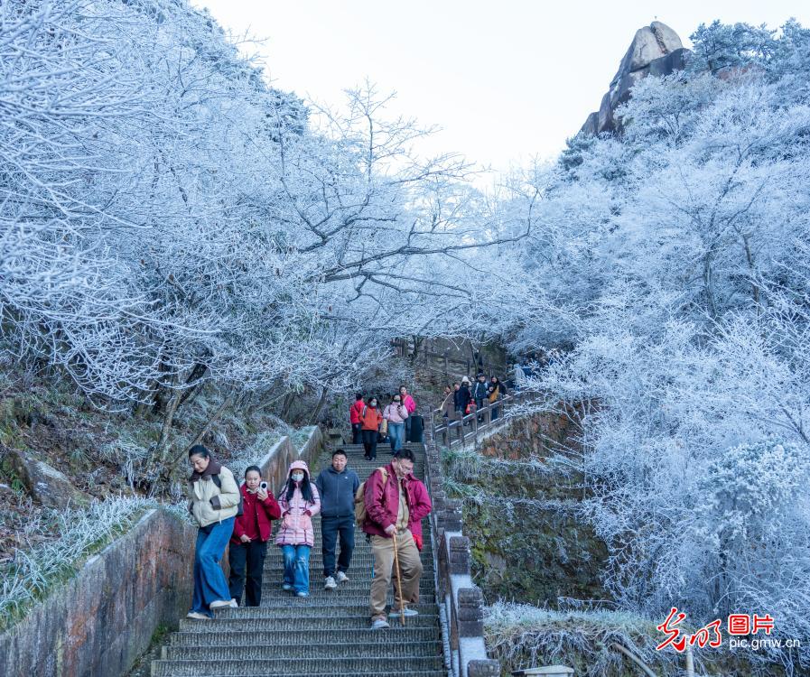 Rime scenery on Mount Jiuhua in E China’s Anhui Rime scenery on Mount Jiuhua in E China’s Anhui