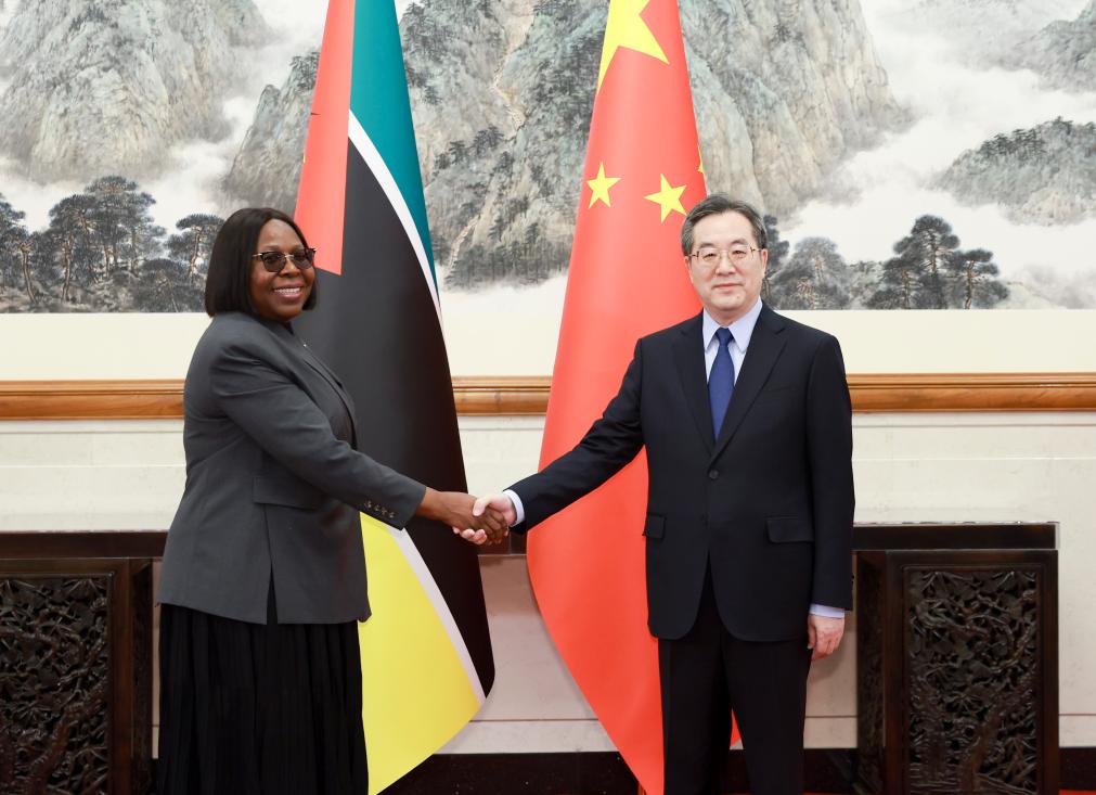 Chinese vice premier meets Mozambican PM