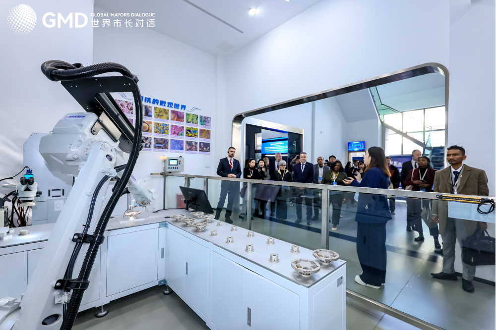 In pics: global mayors explore Nanjing’s heritage preservation and ecological protection, exchanging urban governance insights In pics: global mayors explore Nanjing’s heritage preservation and ecological protection, exchanging urban governance insights