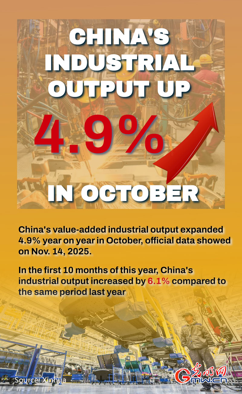 Poster: China's industrial output up 4.9 pct in October