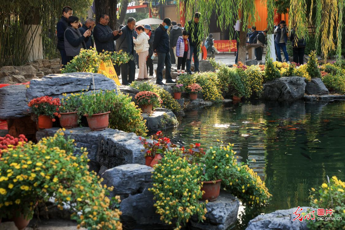 Colorful winter landscapes draw visitors in E China's Shandong