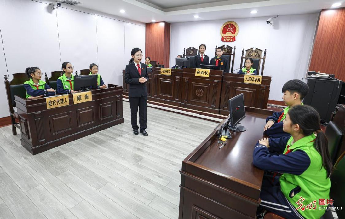 In pics: Nationwide legal education activities mark National Constitution Day